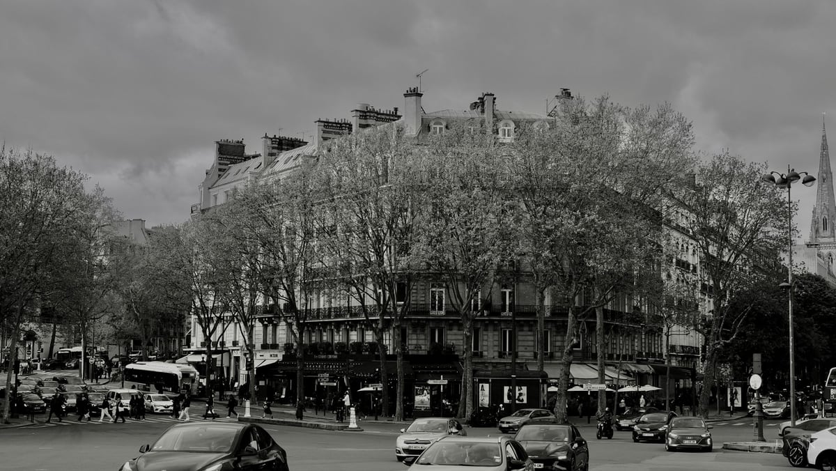 A Haussmann-style building corner behind trees, with traffic under a heavy sky.