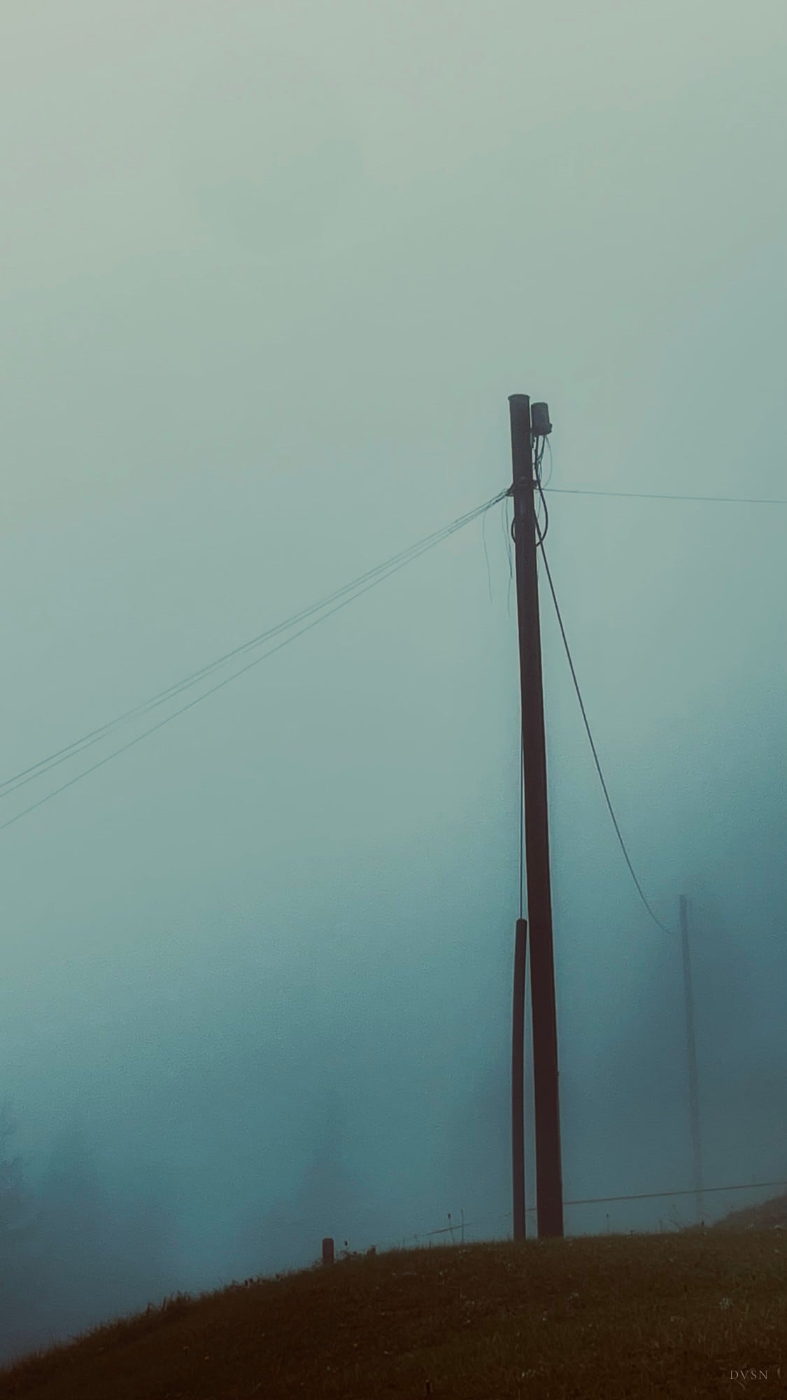 A lone utility pole and its wires on a hill, swallowed by fog.